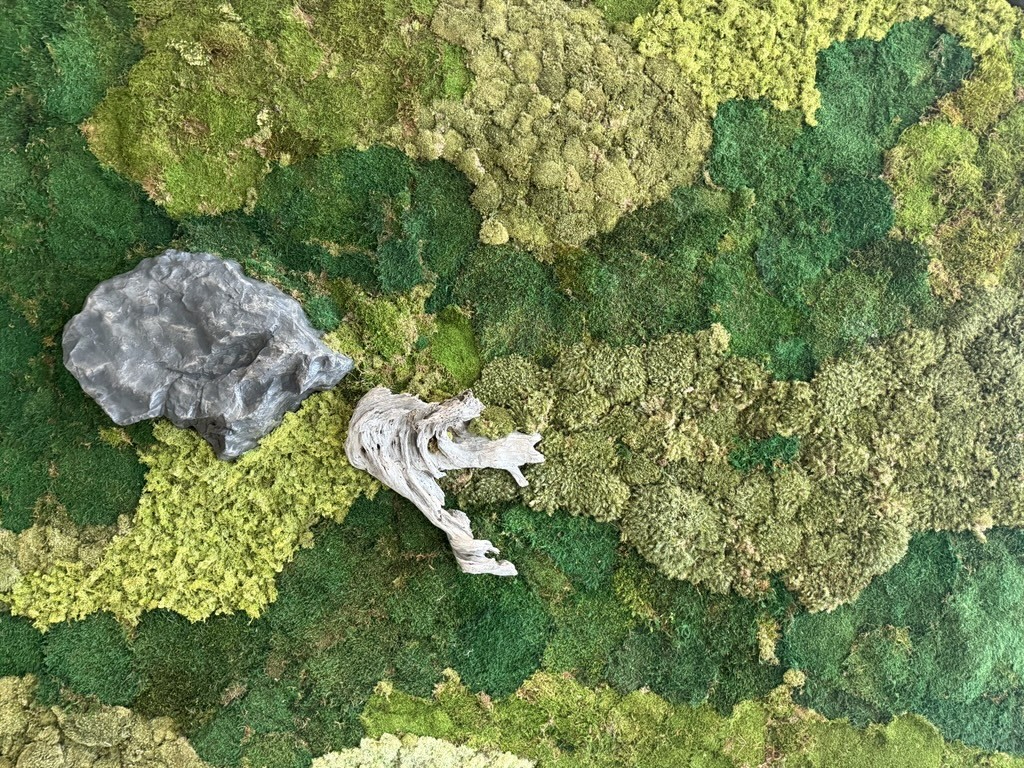 Biophilic Moss Wall · Cisco Tokyo Office · BEE Incorporations Close-up of a biophilic moss wall installation with varied green textures, a stone, and driftwood at the Cisco Tokyo office